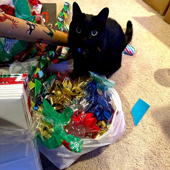 Share &Tag Pls🐈⬛♥️🦋FG 3♥️🐈⬛30% off Bundles ♥️🐈⬛Follow Beanie & Me🐈⬛🦋♥️ - Picture 5 of 15